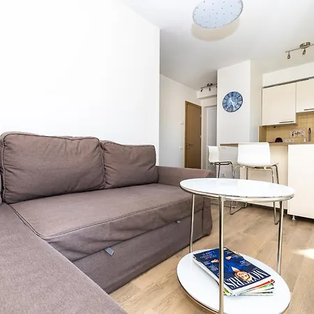 W/parking Near The Centre, By Cohost * Palanga