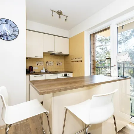 W/parking Near The Centre, By Cohost * Palanga