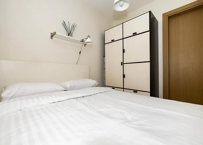 W/parking Near The Centre, By Cohost Паланга