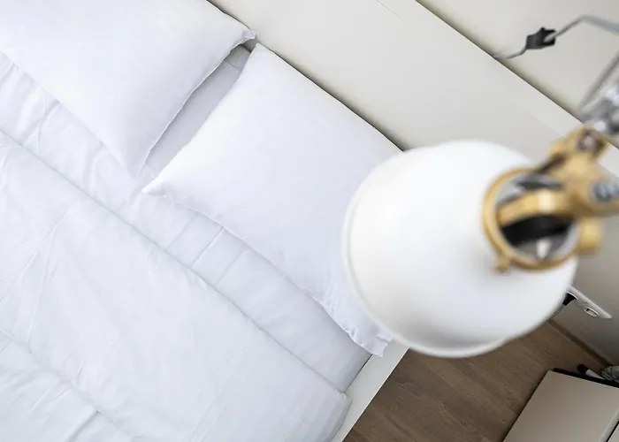 W/parking Near The Centre, By Cohost *